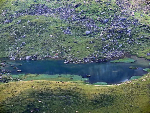 Den Alpina Sjön Blausee Eller Blå Sjön Bergsmassivet Uri Alperna — Stockfoto