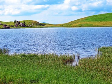 Uri Alp Dağları 'ndaki Seefeldsee ya da Seefeld Gölü, Sachseln - Obwald Kantonu, İsviçre (Kanton Obwalden, Schweiz)