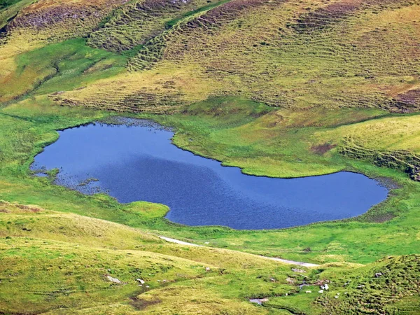 Navnløse Små Alpine Søer Naturlige Minibassiner Bjergpladerne Bjergmassivet Uri Alps - Stock-foto