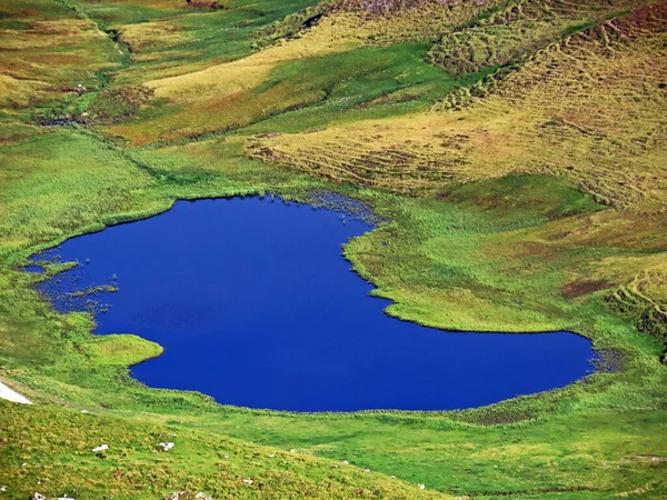 Bezimienne Małe Alpejskie Jeziora Naturalne Mini Stawy Płaskowyżu Górskim Masywu — Zdjęcie stockowe