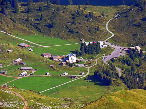 Turist Och Boskapsuppfödning Engstlen Vid Övre Gental Valley Och Bergsmassivet — Stockfoto