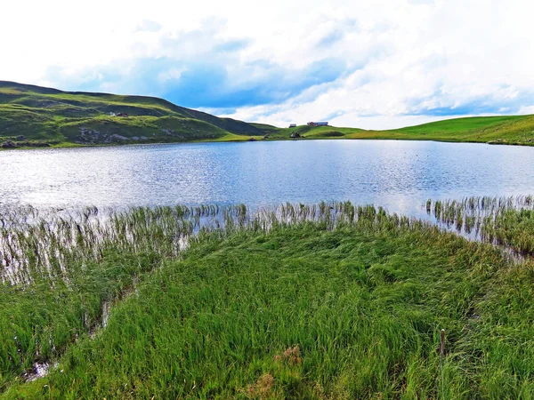 瑞士奥瓦尔德州Sachseln市Uri Alps山区地块的高山湖Seefeldsee或Seefeld湖 Kanton Obwalden Schweiz — 图库照片