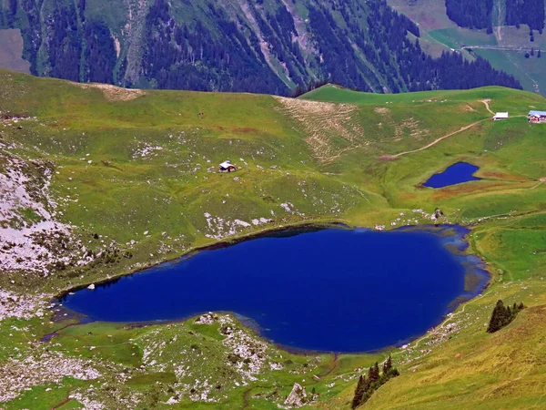 瑞士奥瓦尔德州Sachseln市Uri Alps山区地块的高山湖Seefeldsee或Seefeld湖 Kanton Obwalden Schweiz — 图库照片