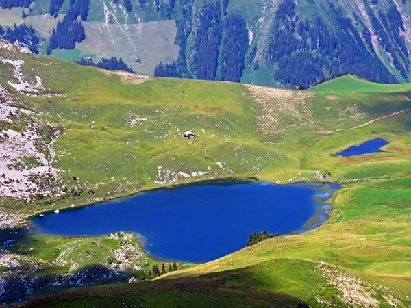 Het Alpenmeer Seefeldsee Seefeld Meer Het Uri Alpen Bergmassief Sachseln — Stockfoto