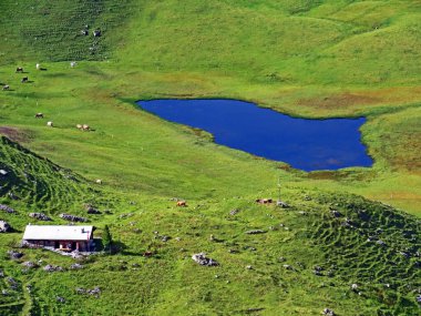 Seefeldsee alp gölü (unterer Seefeldsee) veya Seefeld Gölü 'nün aşağısındaki Uri Alpleri dağ kitlesi, Sachseln - İsviçre Obwald Kantonu (Kanton Obwalden, Schweiz)