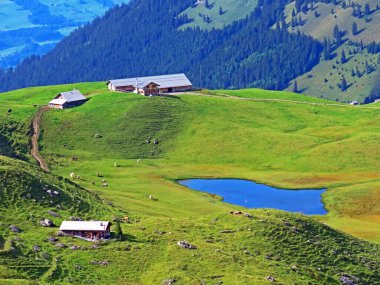 Seefeldsee alp gölü (unterer Seefeldsee) veya Seefeld Gölü 'nün aşağısındaki Uri Alpleri dağ kitlesi, Sachseln - İsviçre Obwald Kantonu (Kanton Obwalden, Schweiz)