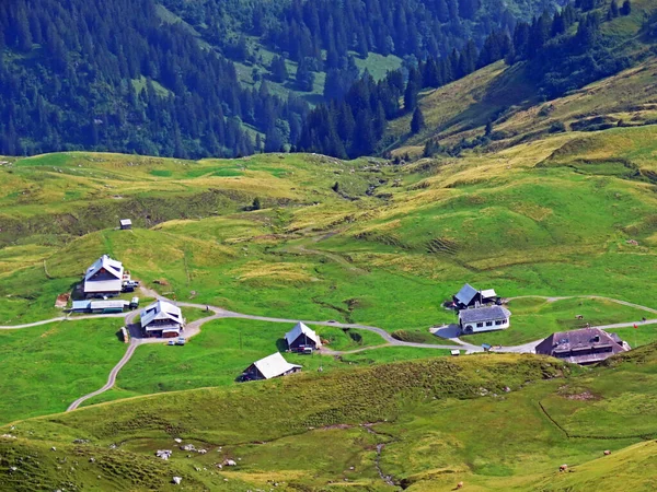 Tannensee Gölü Uri Alpleri Nin Yanında Bulunan Geleneksel Dağlık Çiftlik — Stok fotoğraf