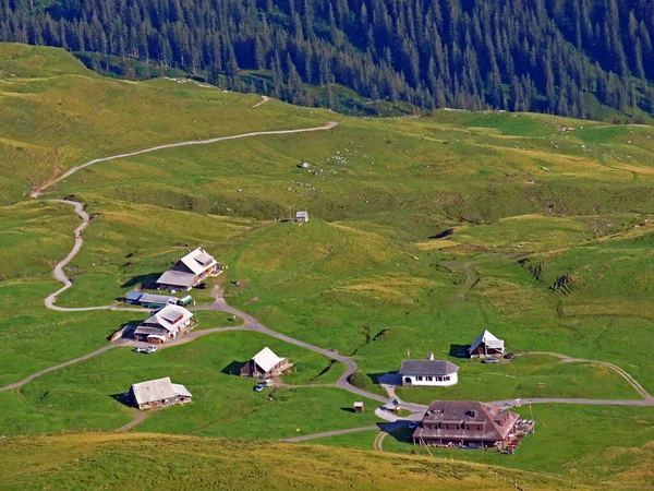 Traditionele Alpine Veestapel Tannalp Naast Tannensee Het Uri Alpen Massief — Stockfoto