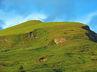 Sarnersee Gölü ile Melchtal Vadisi arasındaki Grassy subalpine tepesi Bocki, Sachseln - Obwald Kantonu, İsviçre (Kanton Obwalden, Schweiz)