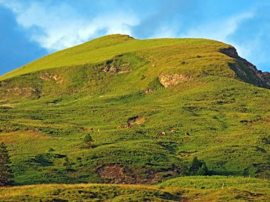 Sarnersee Gölü ile Melchtal Vadisi arasındaki Grassy subalpine tepesi Bocki, Sachseln - Obwald Kantonu, İsviçre (Kanton Obwalden, Schweiz)