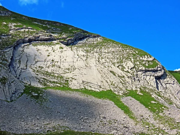 Plaque Rocheuse Alpine Leiteren Sous Sommet Chli Haupt Murmelchopf Sur — Photo