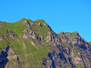 Melchsee Gölü 'nün yukarısındaki Fulenberg tepesi ve Uri Alpleri dağ kütlesi, Melchtal - Obwald Kantonu, İsviçre (Kanton Obwalden, Schweiz)