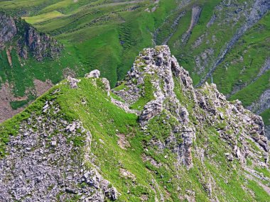 Melchsee Gölü 'nün üzerindeki Talistock Tepesi ve Uri Alpleri dağ kütlesi, Melchtal - Obwald Kantonu, İsviçre (Kanton Obwalden, Schweiz)
