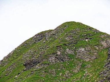 Gaentel (veya Gantel) ile Uri Alpleri 'ndeki Haslital vadileri arasındaki Alp zirvesi Laeuber (veya Lauber), Gadmen - Bern Kantonu, İsviçre (Kanton Bern, Schweiz))