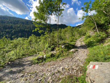 Melchtal Alp Vadisi 'nin yamaçlarında ve Uri Alp Dağları' nda bulunan Kerns Kantonu Obwalden, İsviçre (Kanton Obwalden, Schweiz)