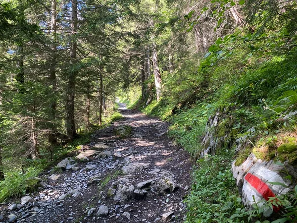 Mountaineering Signposts Markings Slopes Melchtal Alpine Valley Uri Alps Mountain — Stock Photo, Image