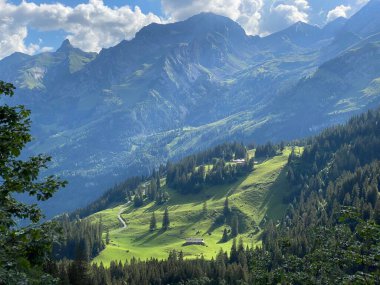 Uri Alp Dağları 'nın yamaçlarında Alp çayırları ve çayırları, Melchtal - Obwald Kantonu, İsviçre (Kanton Obwalden, Schweiz)