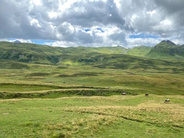 Uri Alp Dağları 'nın yamaçlarında Alp çayırları ve çayırları, Melchtal - Obwald Kantonu, İsviçre (Kanton Obwalden, Schweiz)