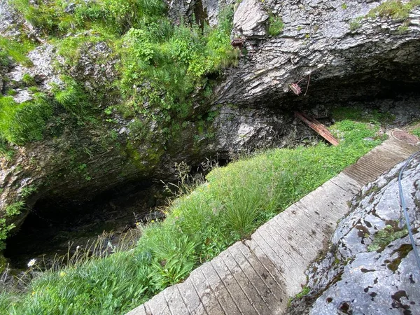 Avgrunden Staeubiloch Eller Staubiloch Sjön Melchsee Eller Grotta Vid Sjön — Stockfoto