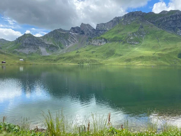 알프스 산맥의 스위스 바이츠 — 스톡 사진