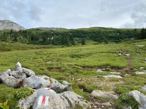 Hegymászó Táblák Jelzések Melchtali Alpesi Völgy Lejtőin Uri Alpokban Kerns — Stock Fotó