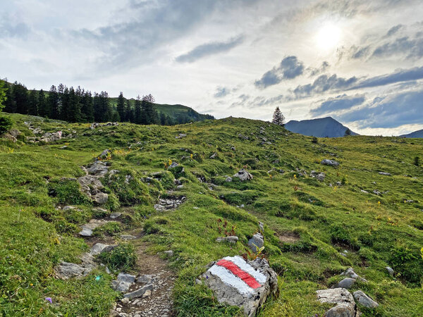 Mountaineering signposts and markings on the slopes of the Melchtal alpine valley and in the Uri Alps mountain massif, Kerns - Canton of Obwald, Switzerland (Kanton Obwalden, Schweiz)