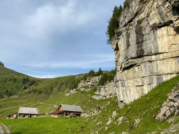 Traditional Rural Architecture Family Livestock Farms Uri Alps Mountain Massif — Stock Photo, Image