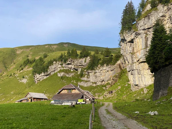 伝統的な農村建築とウリ アルプス山脈の家族の家畜農場の大規模な オバルドのカントン スイス カントンObwalden スイス — ストック写真
