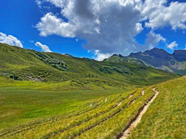 Uri Alp Dağları 'nın yamaçlarında Alp çayırları ve çayırları, Melchtal - Obwald Kantonu, İsviçre (Kanton Obwalden, Schweiz)