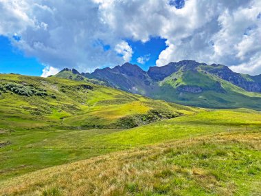 Uri Alp Dağları 'nın yamaçlarında Alp çayırları ve çayırları, Melchtal - Obwald Kantonu, İsviçre (Kanton Obwalden, Schweiz)