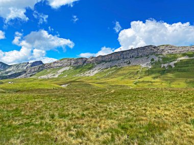 Uri Alp Dağları 'nın yamaçlarında Alp çayırları ve çayırları, Melchtal - Obwald Kantonu, İsviçre (Kanton Obwalden, Schweiz)