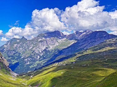 Uri Alp Dağları 'nın yamaçlarında Alp çayırları ve çayırları, Melchtal - Obwald Kantonu, İsviçre (Kanton Obwalden, Schweiz)