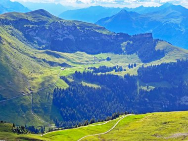Uri Alp Dağları 'nın yamaçlarında Alp çayırları ve çayırları, Melchtal - Obwald Kantonu, İsviçre (Kanton Obwalden, Schweiz)
