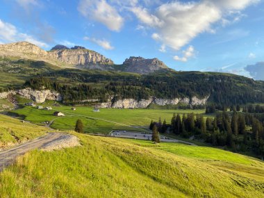 Uri Alp Dağları 'nın yamaçlarında Alp çayırları ve çayırları, Melchtal - Obwald Kantonu, İsviçre (Kanton Obwalden, Schweiz)