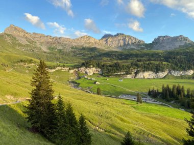 Uri Alp Dağları 'nın yamaçlarında Alp çayırları ve çayırları, Melchtal - Obwald Kantonu, İsviçre (Kanton Obwalden, Schweiz)