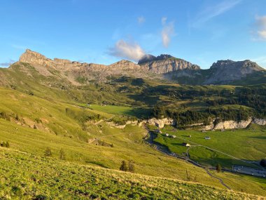 Uri Alp Dağları 'nın yamaçlarında Alp çayırları ve çayırları, Melchtal - Obwald Kantonu, İsviçre (Kanton Obwalden, Schweiz)