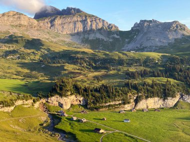 Uri Alp Dağları 'nın yamaçlarında Alp çayırları ve çayırları, Melchtal - Obwald Kantonu, İsviçre (Kanton Obwalden, Schweiz)