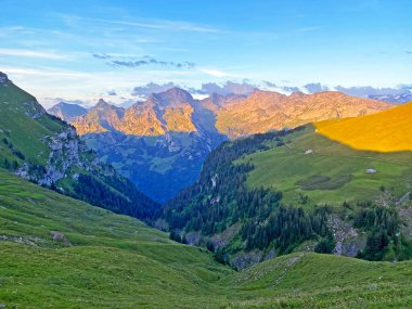 Uri Alp Dağları 'nın yamaçlarında Alp çayırları ve çayırları, Melchtal - Obwald Kantonu, İsviçre (Kanton Obwalden, Schweiz)