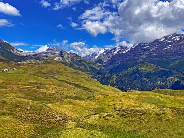 Alpinängar Och Betesmarker Sluttningarna Bergsmassivet Uri Alperna Melchtal Kanton Obwald — Stockfoto