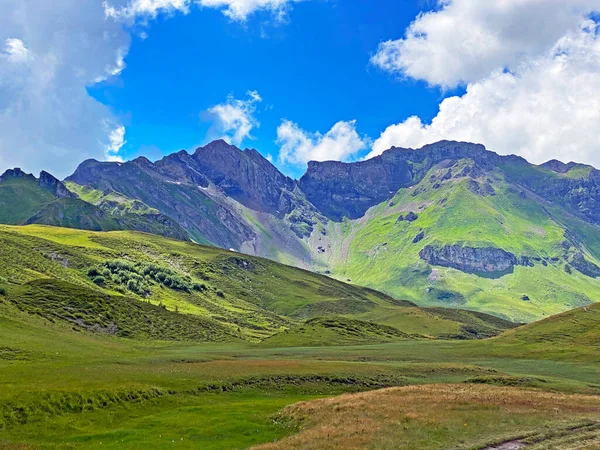 Łąki Pastwiska Alpejskie Zboczach Masywu Górskiego Uri Alpy Melchtal Kanton — Zdjęcie stockowe