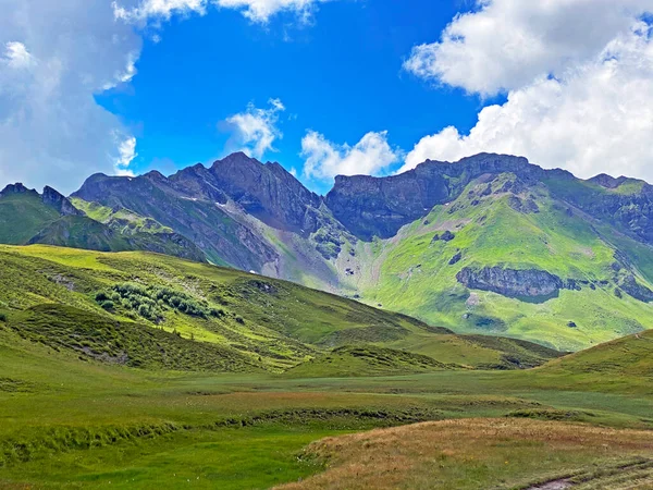 瑞士奥瓦尔德州Melchtal Canton Uri Alps山区地块斜坡上的高山草地和牧场 Kanton Obwalden Schweiz — 图库照片