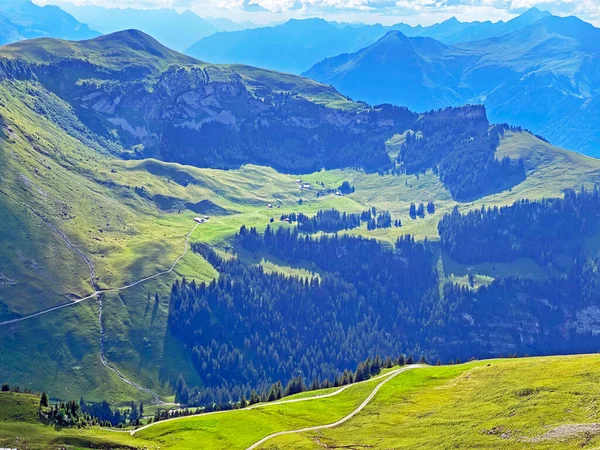 Alpine Meadows Pastures Slopes Uri Alps Mountain Massif Melchtal Canton — Stock Photo, Image