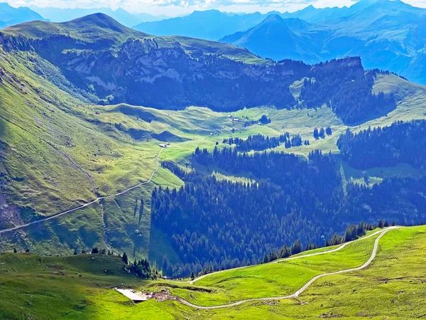 Prados Pastagens Alpinas Nas Encostas Maciço Montanhoso Dos Alpes Uri — Fotografia de Stock