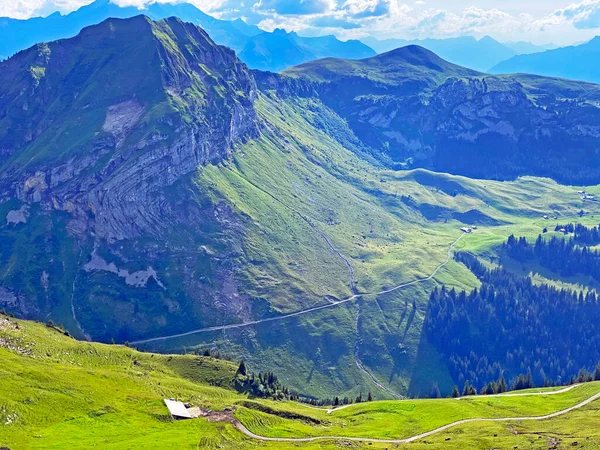 Prados Pastagens Alpinas Nas Encostas Maciço Montanhoso Dos Alpes Uri — Fotografia de Stock