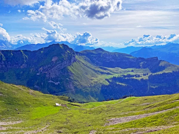 Alpenweiden Almen Hellingen Van Het Bergmassief Uri Alpen Melchtal Kanton — Stockfoto