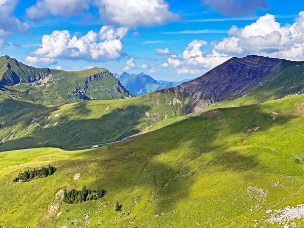 Prairies Alpines Pâturages Sur Les Pentes Massif Des Alpes Uri — Photo