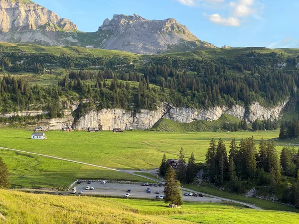 Uri Alp Dağları 'nın yamaçlarında Alp çayırları ve çayırları, Melchtal - Obwald Kantonu, İsviçre (Kanton Obwalden, Schweiz)