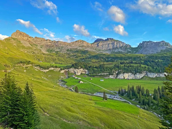 Uri Alp Dağları 'nın yamaçlarında Alp çayırları ve çayırları, Melchtal - Obwald Kantonu, İsviçre (Kanton Obwalden, Schweiz)