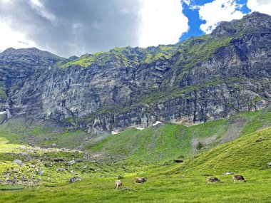 Alp tepeleri Glogghues (veya Glogghus) ve Fulenberg Melchsee Gölü 'nün yukarısında ve Uri Alpleri dağ kitlesi Melchtal' da (Kanton Obwalden, Schweiz)