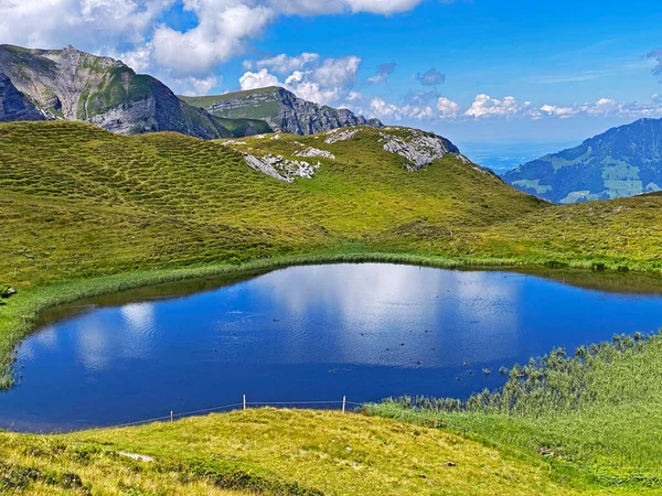 Petits Lacs Alpins Sans Nom Mini Étangs Naturels Sur Les — Photo